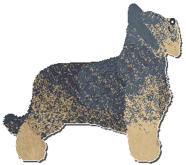 Profile image of Wulver One Thousand Tiny Icecaps