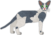 Profile image of Cymophane's Nordic Tonic