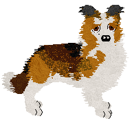 Profile image of Come Bye's Foliage