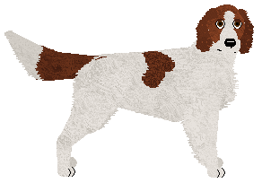 Profile image of Settfever Pyzata Chata