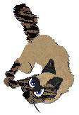 Profile image of Frogbowl Round We Go