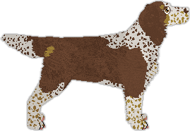 Profile image of Coventry's Schnee von Gestern