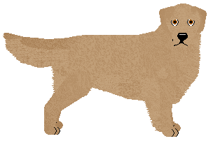 Profile image of MORPHEE'S Belfegor