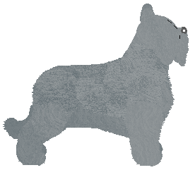 Profile image of Wulver Medical Miracle