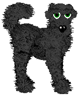 Amenity's Start Of It All — “Debutante”