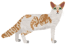 Bespoke's Crown Jewel — “Kimba”