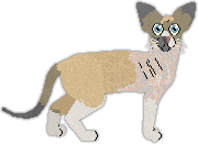 Profile image of Velour's Dirty Little Secret