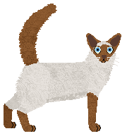 Raposa Cinnamon Toast — “Toast”