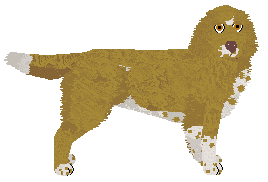 Profile image of Dragosani CAN SATIVO