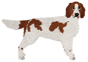 Profile image of Cansas/Converse Coffee Break