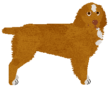 Profile image of Dragosani RUDY RUDY RYDZ
