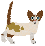 Sailor Jentle Miruai at Macavity — “Sasabune”