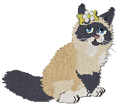 Profile image of Parody Gentle Dreamer at Frogbowl