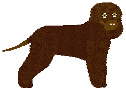 Profile image of Dragosani FABULESQUE