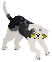 Profile image of Cava GET UP, STAND UP