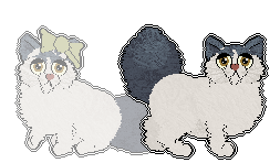 Profile image of APS Imperial Kitten at Chachke