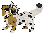 Profile image of Dandy/FDL's Golly Gee Willikers