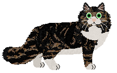 Aftermath Cheshire Cat — “Parsley”