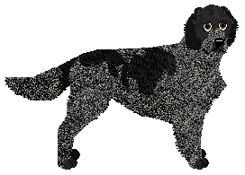 Profile image of Cansas' Texas Hold'em