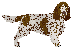 Profile image of Cansas' Toblerone
