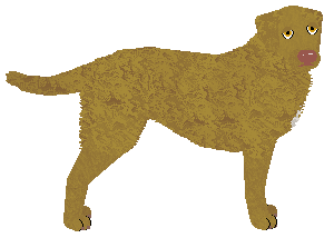 Profile image of Cansas' Only Human