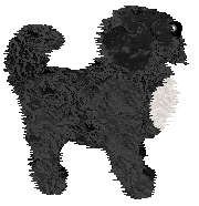 Profile image of Evenfall's Texas Sized Offer