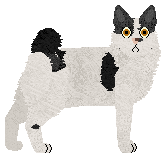 Tsuru’s Kurotama — “Tama”