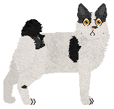 Profile image of Tsuru’s Kurotama