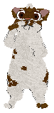 Xoops/Coriander's Cinnamon Brown Sugar — “Russet”