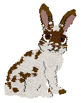 Profile image of Xoops/Coriander's Cinnamon Brown Sugar