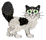 Billywix/Calluna's Wild Variable — “Wanda”