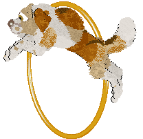 Cargo's A Sound Most Royal — “Kakaki”