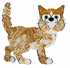 Calluna's Sardonic Tiger — “Calvin”