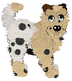 Profile image of EC/FK's Summer Solstice Margarita