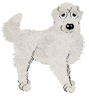 HK/FK's I Who Made You Sleep — “Roque”