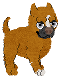 Profile image of NSP/Mockingbird's Pixel Dimensions