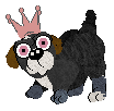 Profile image of FDL's Bennett
