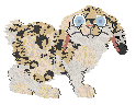 FK/Calluna's Dalmatian Jasper — “Jasper”