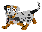 Cargo/Poppyhill's Badger Dog — “Chips”