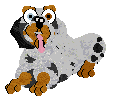 Cargo/Poppyhill's Badger Dog — “Chips”