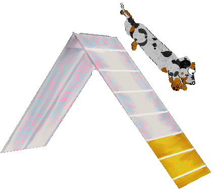 Cargo/Poppyhill's Badger Dog — “Chips”