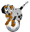 Cargo/Poppyhill's Badger Dog — “Chips”
