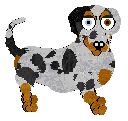 Cargo/Poppyhill's Badger Dog — “Chips”
