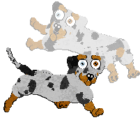 Profile image of Cargo/Poppyhill's Badger Dog