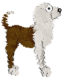 Profile image of Pollution/King's Legs! Legs! Legs!