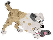 Cargo/Poppyhill's Born of Seafoam — “Seabreeze”