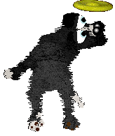 King's Prancing in The Moonlight at Cirrutopia — “Moonlight”