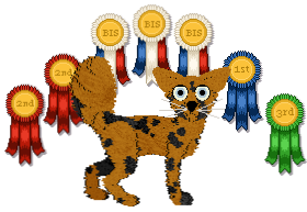 Profile image of Sour Cheese Spots