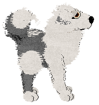 MB's The Book Of Random Tables at ZCP — “Ispnyrix”