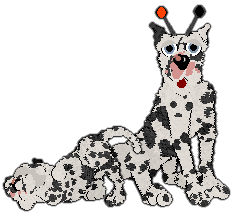 Profile image of Witz's Garden Festival